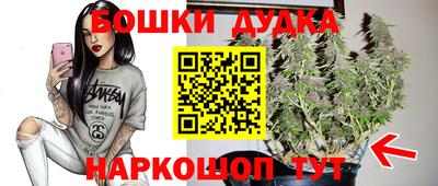 МДПВ Гатчина