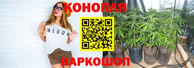 МДПВ Гагарин
