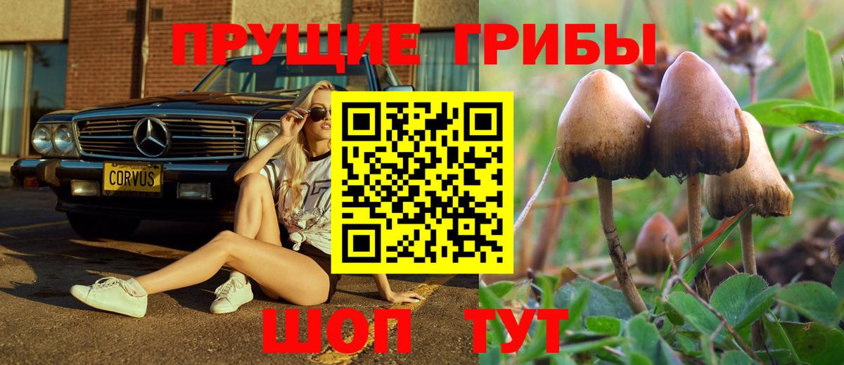 Мурманск  Галлюциногенные грибы мухоморы  Вход с VPN 