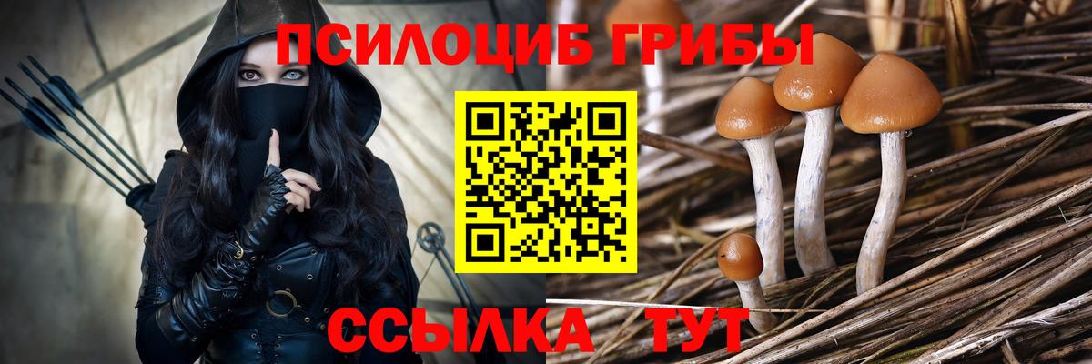 Псилоцибиновые грибы MAGIC MUSHROOMS Мурманск